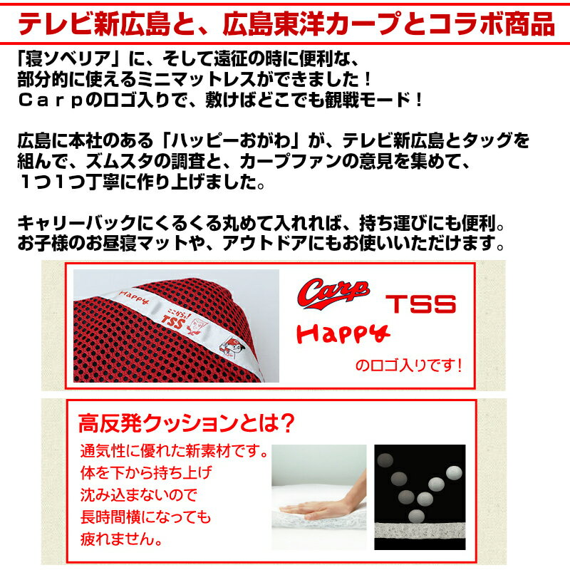 �����׷��ӹ�ȿȯ�ޥåȥ쥹�ʥ���꡼�Хå��ա�