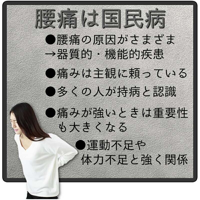 広島大学との共同研究 ファッションウエストベルト 3