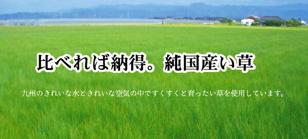 純国産 い草花ござカーペット 『五風』 ブラウン 江戸間2畳(約174×174cm）《os》