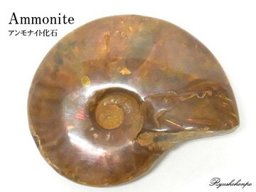 商品紹介 大きなアンモナイトの化石です。虹色の遊色もしっかりと出ています。実際に手に取って自然の神秘を感じてほしい一点です。 アンモナイトはアンモン貝(オウムガイの先祖)の化石です。およそ7000年前に生息していたアンモン貝。「アンモナイト」という名前は、18世紀頃のエジプトで、神アンモンに捧げる羊の角の代わりとして使用されたことから名付けられました。 アンモン貝は、劣化しにくい殻という特徴のため、化石として美しい状態で出土されることが多く有名です。 その独特の螺旋構造から、風水的にも良いそうで、家庭内に置くと「家内安全」「家庭を幸福に」。 会社やオフィスに置くと「ビジネスの成功」を導くといわれています。 サイズ 約 90×73×21mm　重さ184g 備考 天然石なので、ヒビ、カケなどが含まれる商品や加工時のキズや凹みなどがあります。天然石ですのでご理解下さい。 ご覧頂いている環境により、色など風合いに若干の違いがあることもあります。事前時にお問い合わせください。より細かなご説明もできると思います。