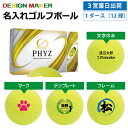 【3営業日出荷対応 オウンネーム 名入れゴルフボール】BRIDGESTONE ブリヂストン PHYZ ファイズ 2019年モデル イエロー 1ダース(12球) スピード納品 名前入りギフト コンペ賞品 景品 ホールインワン 記念品 父の日 還暦祝 誕生日プレゼント 退職記念