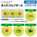 【3営業日出荷対応 オウンネーム 名入れゴルフボール】メーカーおまかせ公認球 クリアケース入り3球セット イエロー 黄色 スピード納品 名前入りギフト コンペ賞品 景品 ホールインワン 記念品 父の日 還暦祝 誕生日プレゼント 退職記念
