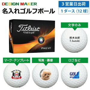 【3営業日出荷対応 オウンネーム 名入れゴルフボール】タイトリスト プロV1 Titleist ProV1 2023年モデル ホワイト1ダース（12球） スピード納品 名前入りギフト コンペ賞品 景品 ホールインワン 記念品 父の日 還暦祝 退職記念