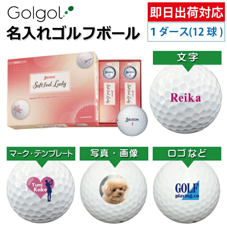 ¨вб ͡ ̾쥴եܡۥꥯ Softfeel Lady եȥեǥ 2025ǯǥ ۥ磻  112...