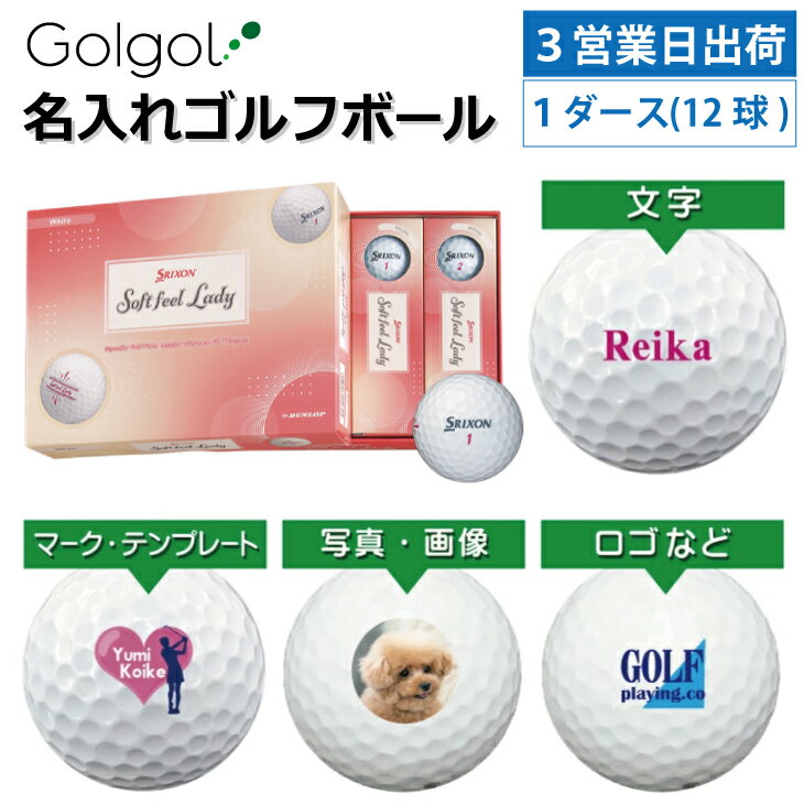 3Ķв ͡ ̾쥴եܡۥꥯ Softfeel Lady եȥեǥ 2025ǯǥ ۥ磻  112...