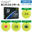 【3営業日出荷 オウンネーム 名入れゴルフボール】ブリヂストン TOUR B XS 2024年モデル イエロー 黄色 1ダース(12球) スピード納品 名前入りギフト コンペ賞品 景品 ホールインワン 記念品 父の日 還暦祝 退職記念
