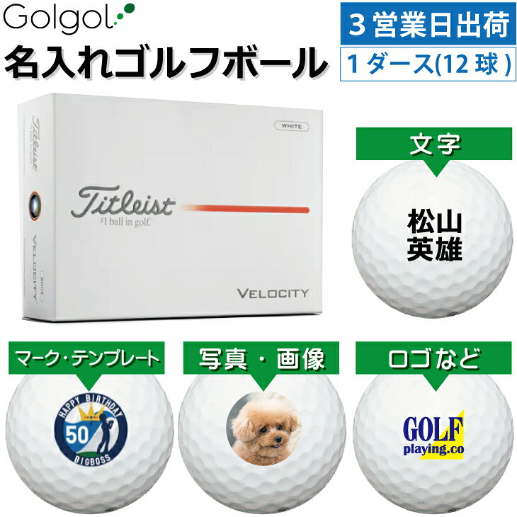 ��3�Ķ����в��б� ������͡��� ̾���쥴��եܡ���ۥ����ȥꥹ�� �٥����ƥ�/Titleist VELOCITY 2026ǯ �ۥ磻�� �� 1��������12���...