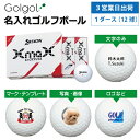 【3営業日出荷対応 オウンネーム 名入れゴルフボール】スリクソン XmaX(エックスマックス) 2024年モデル ホワイト 1ダース(12球) スピード納品 名...