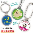 【即日出荷対応 名入れ ペット用迷子札:丸型】犬・猫用 ネコ イヌ 名札 首輪用ネームタグ スピード納品 名前入り 画像・写真印刷対応 ギフトラッピング無料 メ...