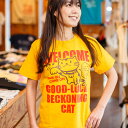 【 本日24時まで 最大P6倍 & 全品5%OFFクーポン 】 猫 ねこ おもしろ かわいい Tシャツ BECKONING CAT ( ゴールド イエロー ) ...