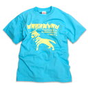 【 本日24時まで 最大P6倍 & 全品5%OFFクーポン 】 【 在庫限り 】 猫 ねこ おもしろ かわいい Tシャツ MasaNyan ( アクア ブルー ...