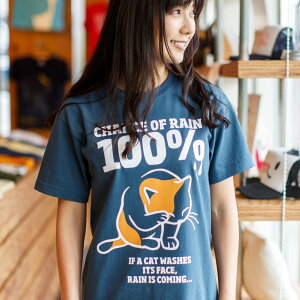 【 5/9 20時〜 クーポンで 最大10%OFF 】 猫 ねこ おもしろ かわいい Tシャツ RAIN 100% ( デニム ) | ネコ 猫柄 猫雑貨 | メンズ レディース 半袖 | おしゃれ ペアルック プレゼント | 大きいサイズ 【メール便】 SCOPY / スコーピー