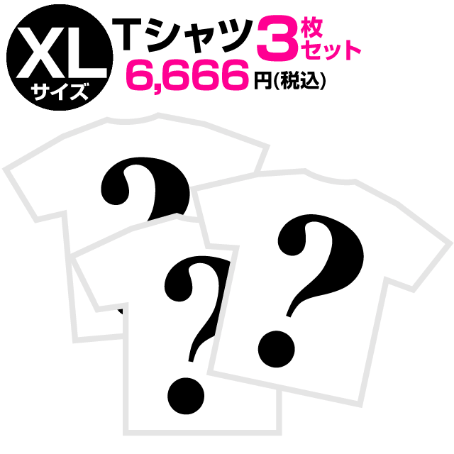 【 猫の日 限定 11/25マデ 】XLサイズ Tシャツ 限定 福袋 (3枚セット)