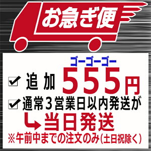 まとめて購入用　当日に発送 お急ぎ便 オプション ※午前中までのご注文のみ対応（土日祝除く） 2023