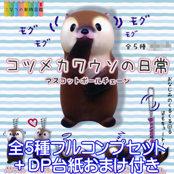 こなつの動物図鑑 コツメカワウソの日常 マスコットボールチェーン 獺 川獺 動物 アニマル グッズ ガチャ Qualia(全5種フルコンプセット+DP台紙おまけ付き)【即納】【数量限定】