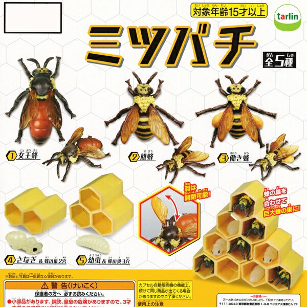 さなぎ&蜂の巣2穴 (ミツバチ フィギュア デ...の紹介画像3