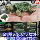 かめ 03 「かめ」シリーズ 第3弾 KAME フィギュア 亀 カメ 動物 骨格構造 TURTLE 模型 ガシャポン ガチャ バンダイ（全3種フルコンプセット＋DP台紙おまけ付き） 【即納】【数量限定】