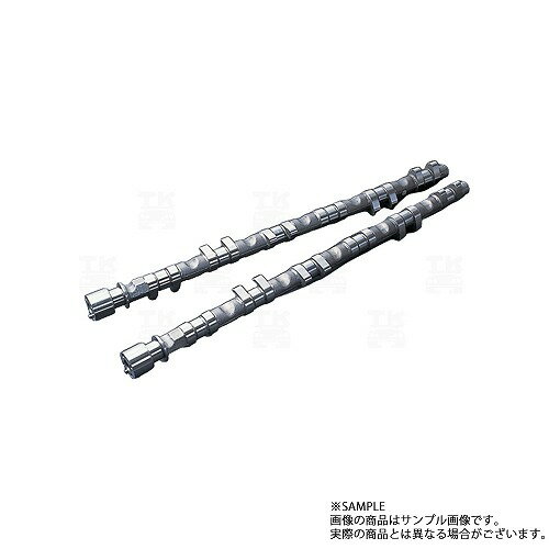 TOMEI 東名パワード ポンカム スカイライン GT-R BNR34/R34 RB26DETT PONCAM TYPE-B(IN/EX) 143018 トラスト企画 ニッサン (612121017