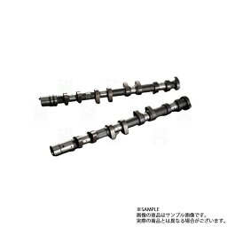 TOMEI 東名パワード ポンカム ランサー エボリューション 10 CZ4A 4B11 MIVEC PONCAM TYPE-R (IN/EX) 143059 トラスト企画 (612121024