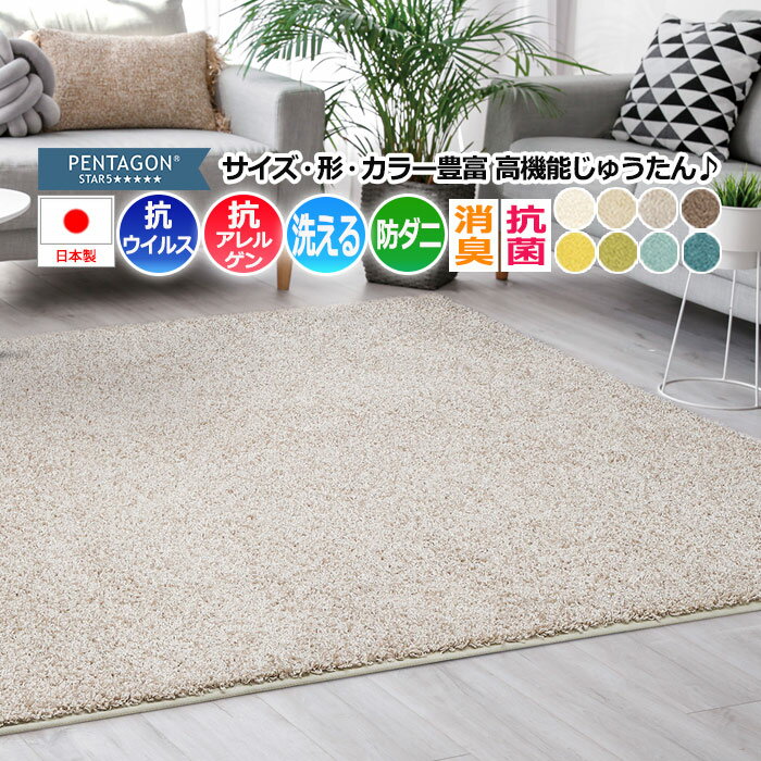 プレーベル ジャスパープラス ラグ カーペット 約140×200cm 抗ウイルス 抗アレルゲン 防ダニ 消臭 抗菌 洗える 無地 滑り止め付