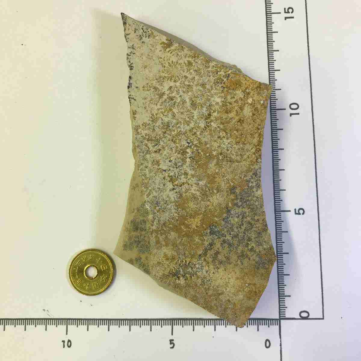 商品NO_k120 デンドライト 忍石 しのぶ石 忍ぶ石 天然石 鉱物 鉱物標本 パ...