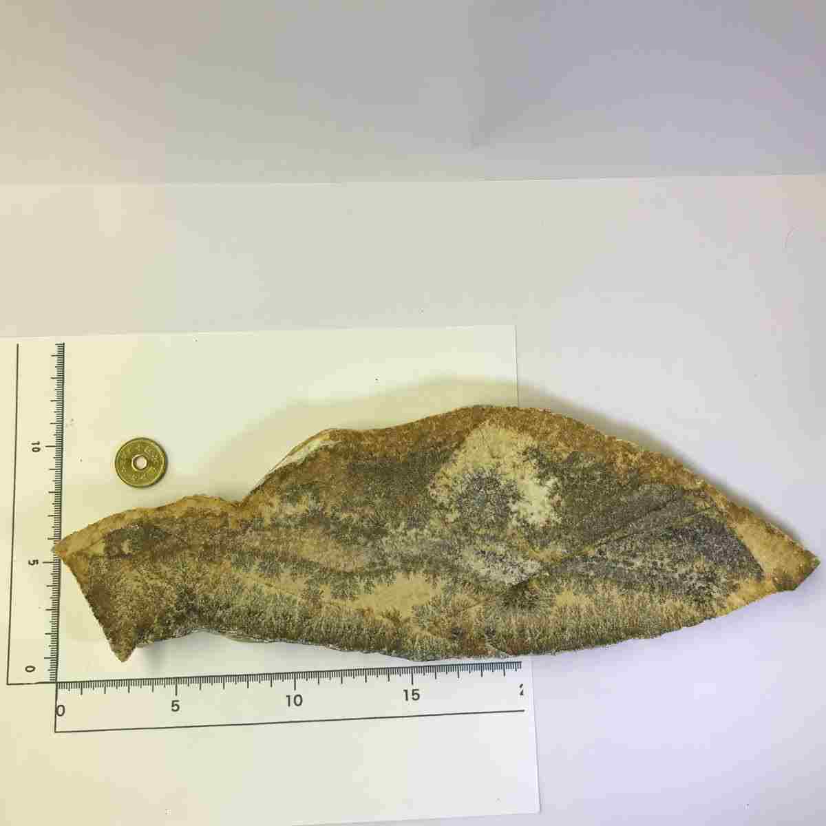 商品NO_k129 デンドライト 忍石 しのぶ石 忍ぶ石 天然石 鉱物 鉱物標本 パ...