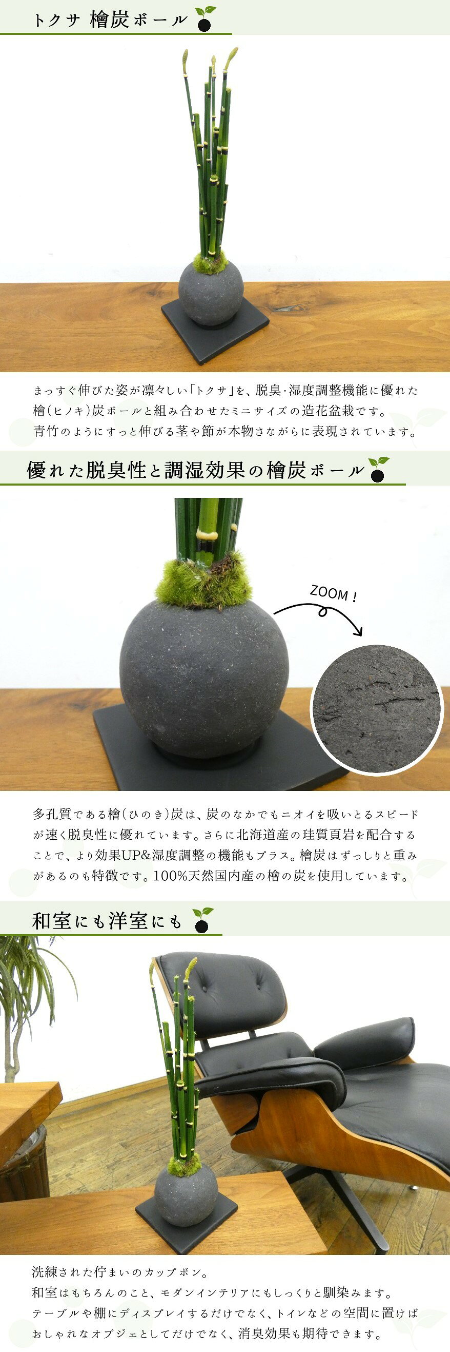 楽天市場】フェイクグリーン 盆栽 [ トクサ 檜炭ボール ] フェイク