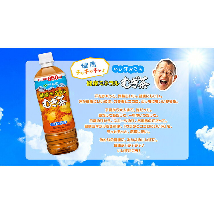 【1箱・24本】伊藤園　健康ミネラル麦茶250紙パック