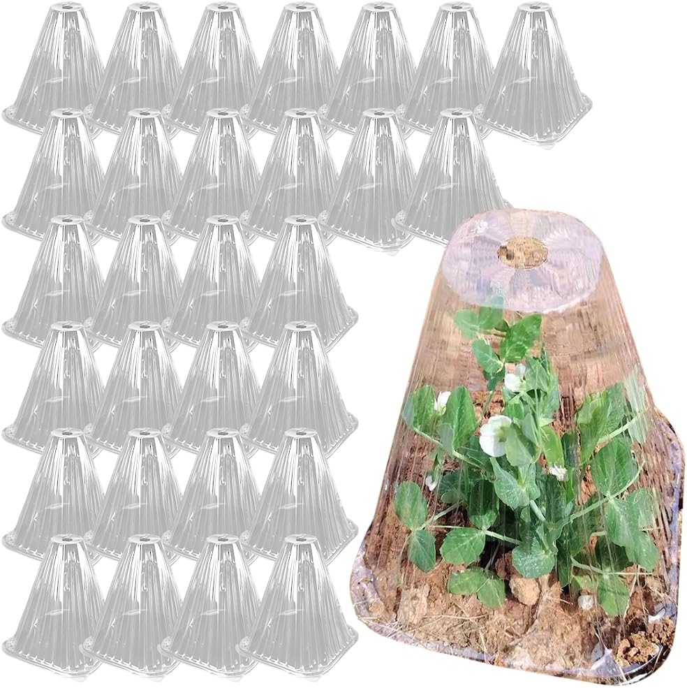 植物 苗カバー ドーム 30個セット 4角錐 底面19cm×19cm 高さ19cm 害虫対策 霜防止 通気穴 クリア 土埋め/ピン固定