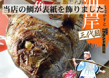 お食い初め　淡路島産天然焼き鯛　500g〜　お食い初め・祝い事には淡路島の美味しい天然焼き鯛で 【楽ギフ_のし】【焼鯛・祝い鯛・祝鯛・明石鯛・天然鯛・淡路産・百日祝い・100日祝い・メニュー・塩焼き・料理・尾頭付き】