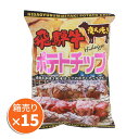 炭火焼風 飛騨牛串焼きポテトチップ ポテトチップス ビーフ 100g×15袋 まとめ買い