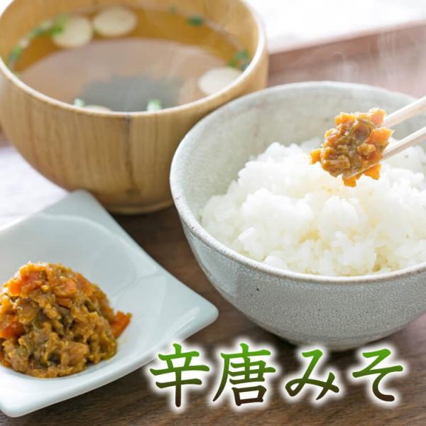 辛唐みそ 調理味噌 130g (ポスト投函-3) 2