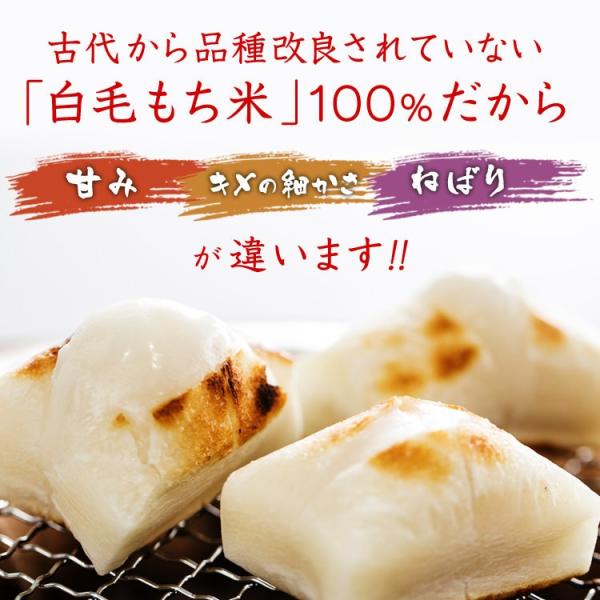 ��������� ������ ������ ���Ӥ����100�� 800g ��14��16����