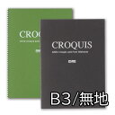 muse ホワイトクロッキーブック B3 Q-0353 無地 50枚入り スケッチブック クロッキー帳