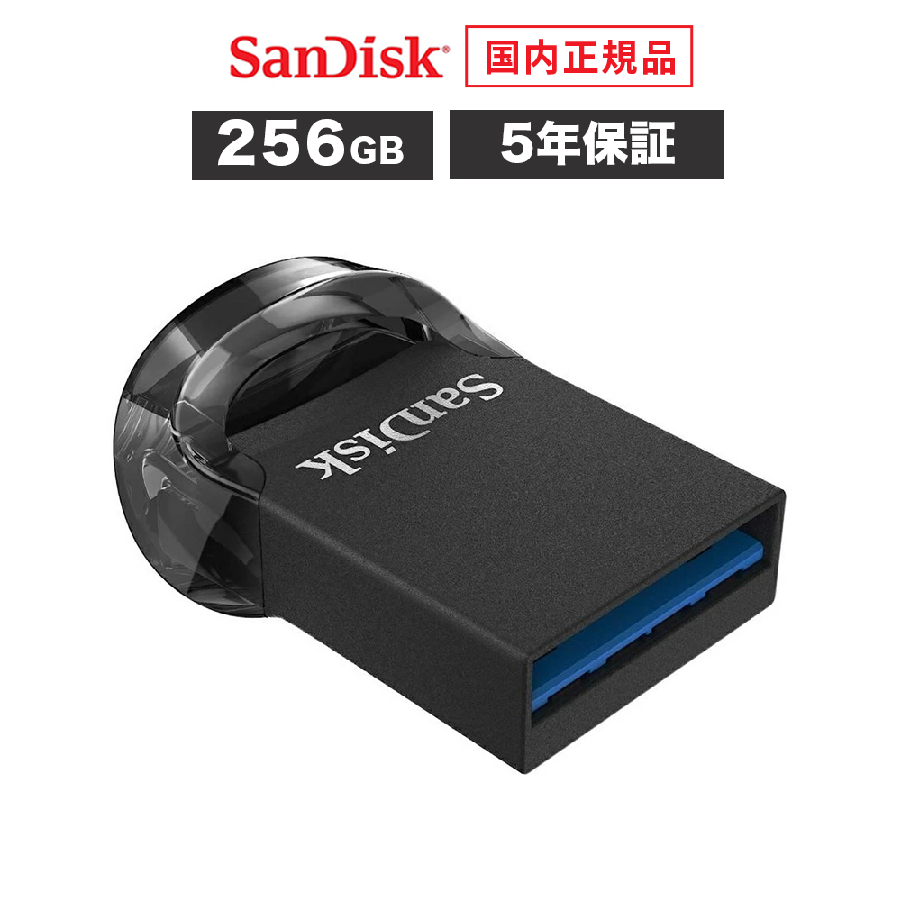 【安心のメーカー5年保証】 256GB USBメモリ San