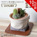 サボテン 【10%OFFクーポン】サボテン寄せ植え3点セット 鉢カバー レザーコースター 名入れオプション付き 室内観葉 ミニサボテン 観葉植物 寄せ植え 帆布 デニム 本革 プレゼント ギフト 誕生日 開店祝い 記念日 贈り物 アルティジャーノ インテリア 雑貨 母の日 父の日