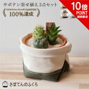 【ポイント10倍】サボテン寄せ植え2点セット 鉢カバー 室内観葉 ミニサボテン 観葉植物 寄せ植え 帆布 デニム プレゼント ギフト 誕生日 開店祝い 記念日 ...