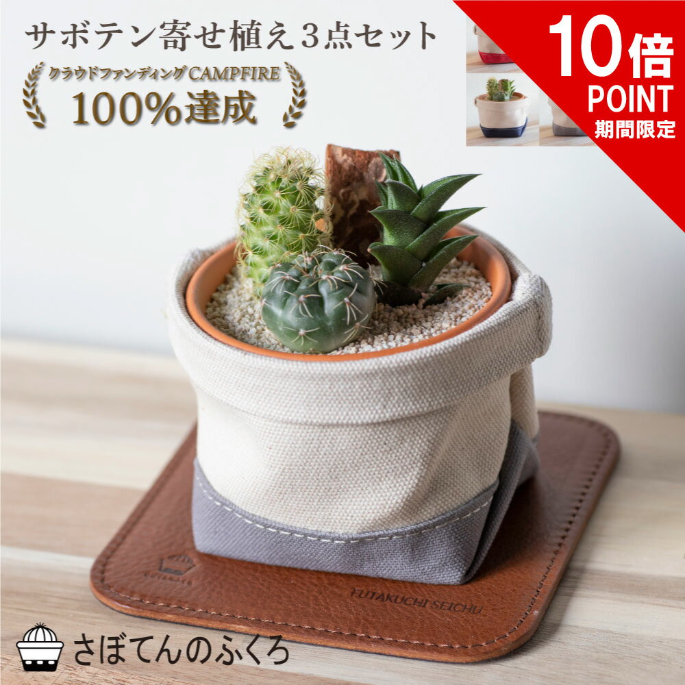 サボテン 【ポイント10倍】サボテン寄せ植え3点セット 鉢カバー レザーコースター 名入れオプション付き 室内観葉 ミニサボテン 観葉植物 寄せ植え 帆布 デニム 本革 プレゼント ギフト 誕生日 開店祝い 記念日 贈り物 アルティジャーノ インテリア 雑貨 母の日 父の日