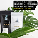 入浴剤 ギフト 炭酸源 入浴タブレット 3個入り 健康 プレゼント プチギフト 無着色 無香料 温浴効果 疲労回復 血行促進 腰痛 肩こり 肌ケア 炭酸源重炭酸...