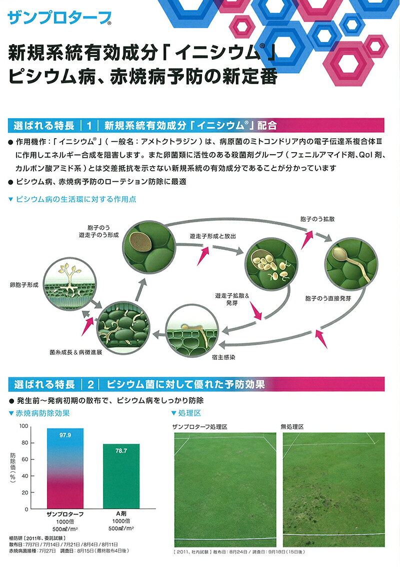 芝生用殺菌剤 ザンプロターフ 500ml 芝病害 病気 ピシウム病 赤焼病