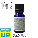 【マラソン中P2倍】 フレーバーライフ(エッセンシャルオイル/アロマオイル/精油)フェンネル(10ml)【エッセンス リラックス 高品質 フレグランス フレグランスオイル 入浴剤 アロマ 香り お風呂 バスタイム 半身浴 アロマバス 芳香浴 お風呂を楽しむ】