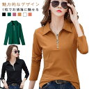 tシャツ 冬 秋 長袖 春 レディース ポロシャツ オフェス tシャツ 襟付き とろみ Vネック カットソー スキッパー 通学 スリム OL 通勤 折り襟 ビジネス タイト 大きいサイズ 白 黒 ゆったり カジュアル 無地 コットン 綿 送料無料