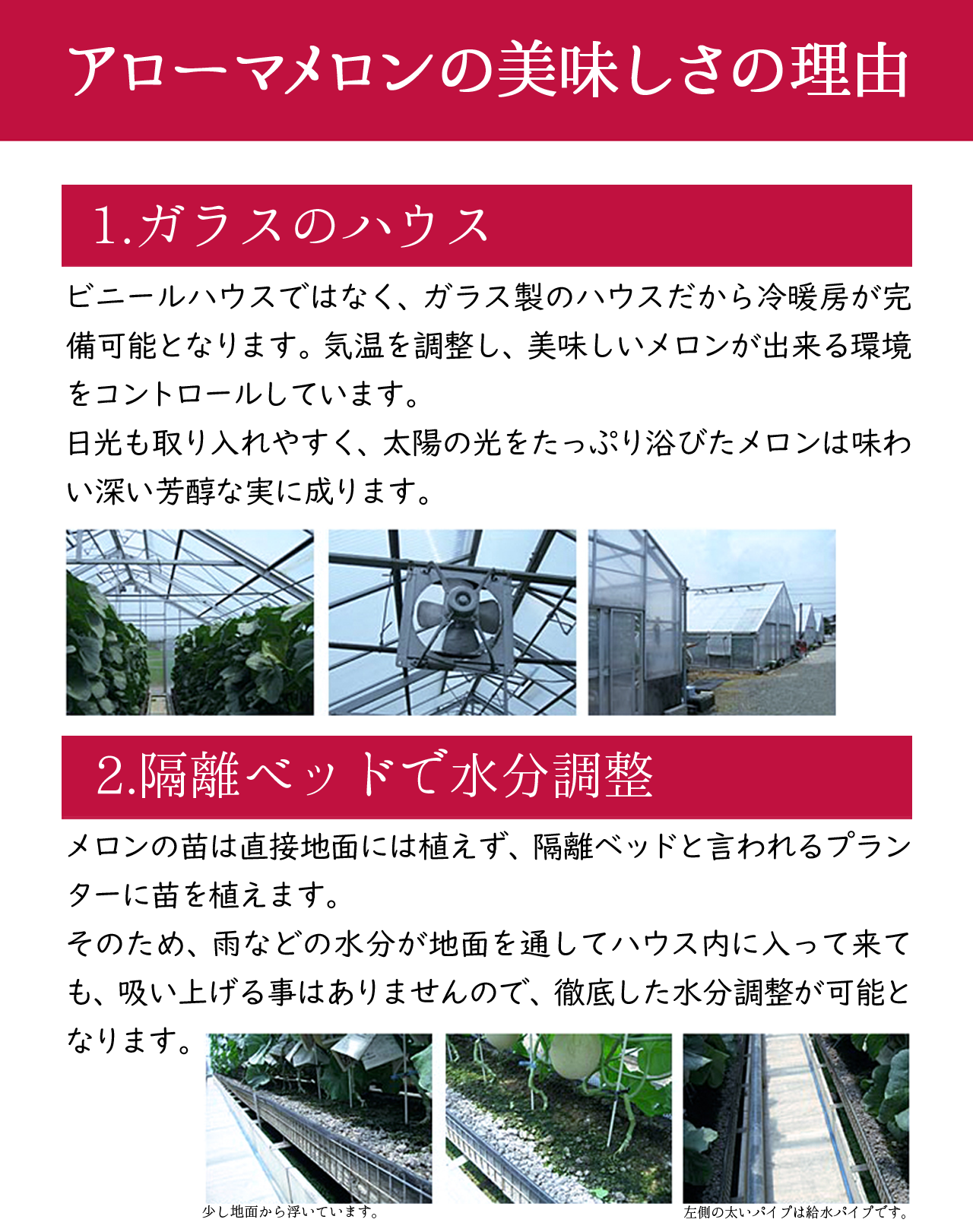 【送料無料】 静岡産 アローマメロン 大玉 1玉 (1.4kg前後) マスクメロン 箱入り 贈答 化粧箱入り ギフト 内祝い 果物 フルーツ 母の日 父の日 お中元 お歳暮