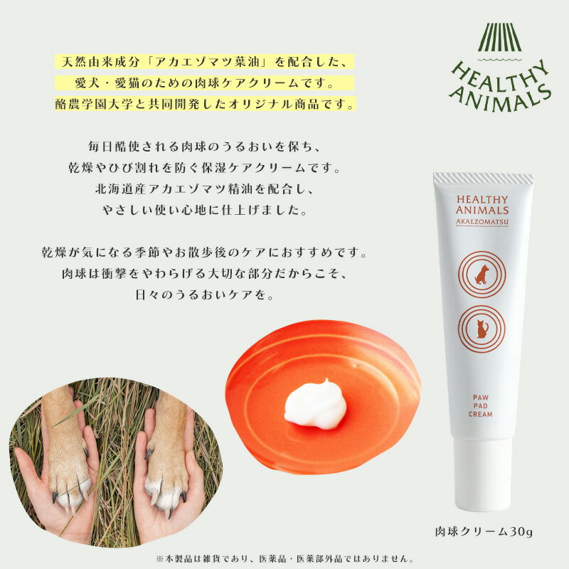 3月はポイント2倍! [★3営業日以内に出荷] HEALTHY ANIMALS 犬・猫用 肉球クリーム 30g (北海道アカエゾマツ) (ヘルシーアニマルズ)(国内正規品)
