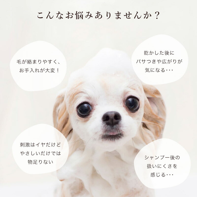 8/12-8/17はポイント3倍!! (詰替用) Km’s care コムズケア 犬用 シャンプー 1000mL...