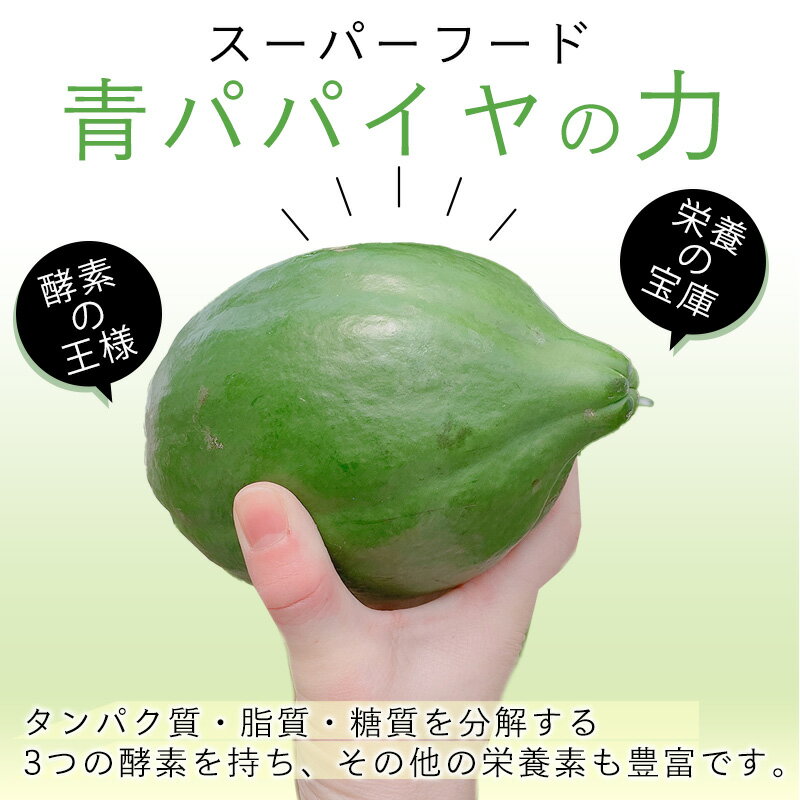 48本　300ML　送料無料　経口補水液(個別評価型)　大塚製薬　OS-1 オーエスワン　アップル風味　300ML×24本x2　熱中症　対策　同梱不可　300ml（2ケース）