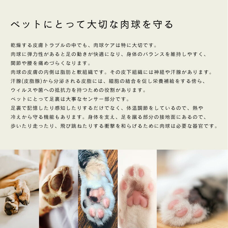 [��3�Ķ�������˽в�] LARU LARU (�����) ��ǭ�� �����󥯥꡼�� 50g (��ȩ�Τ���Υ����󥯥꡼��) (�᡼����L) (����������)