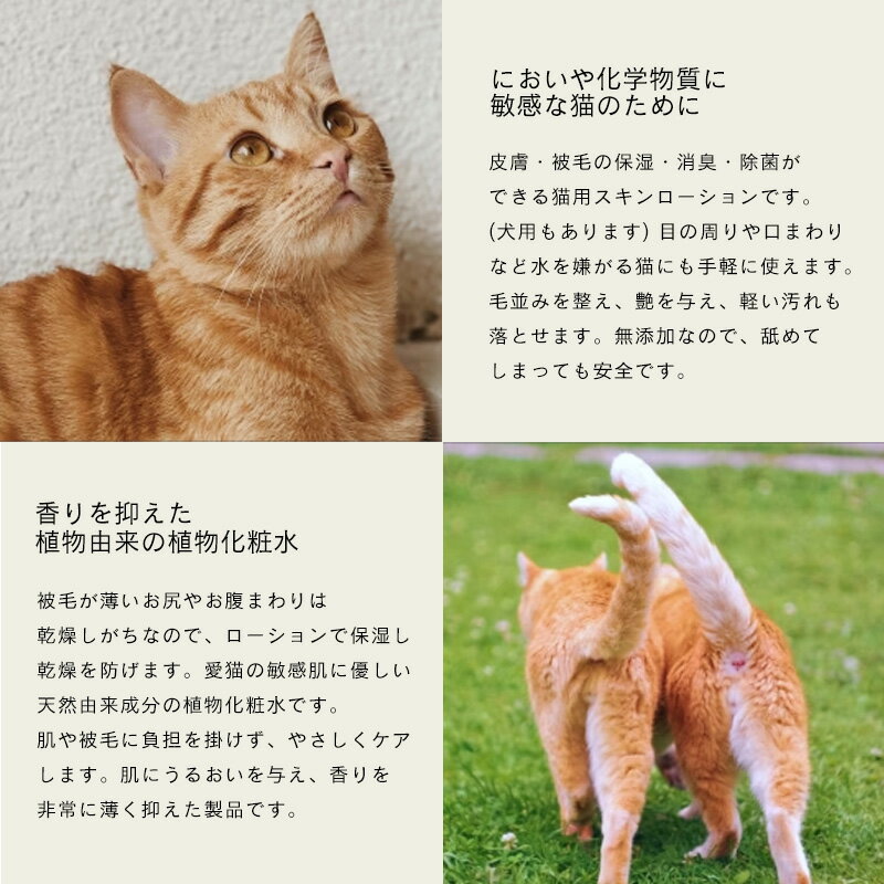 �ޥ饽����֤ϥݥ����2�� [��3�Ķ�������˽в�]LARU LARU (�����) ǭ�� ��������������(���ѿ�) 150mL (����������)