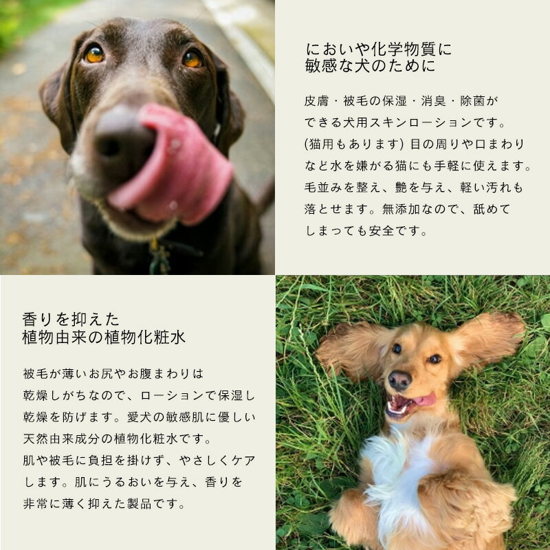 �ޥ饽����֤ϥݥ����2�� [��3�Ķ�������˽в�]LARU LARU (�����) ���� ��������������(���ѿ�) 150mL (����������)