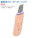 ウォーターピーリング 超音波 美顔器 スクライバー イオン導...